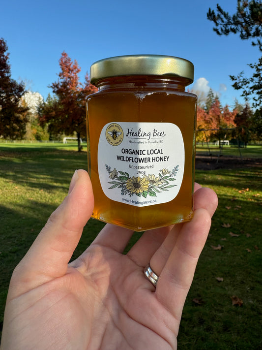 Organic Raw Unpasteurized Wildflower Honey 250g