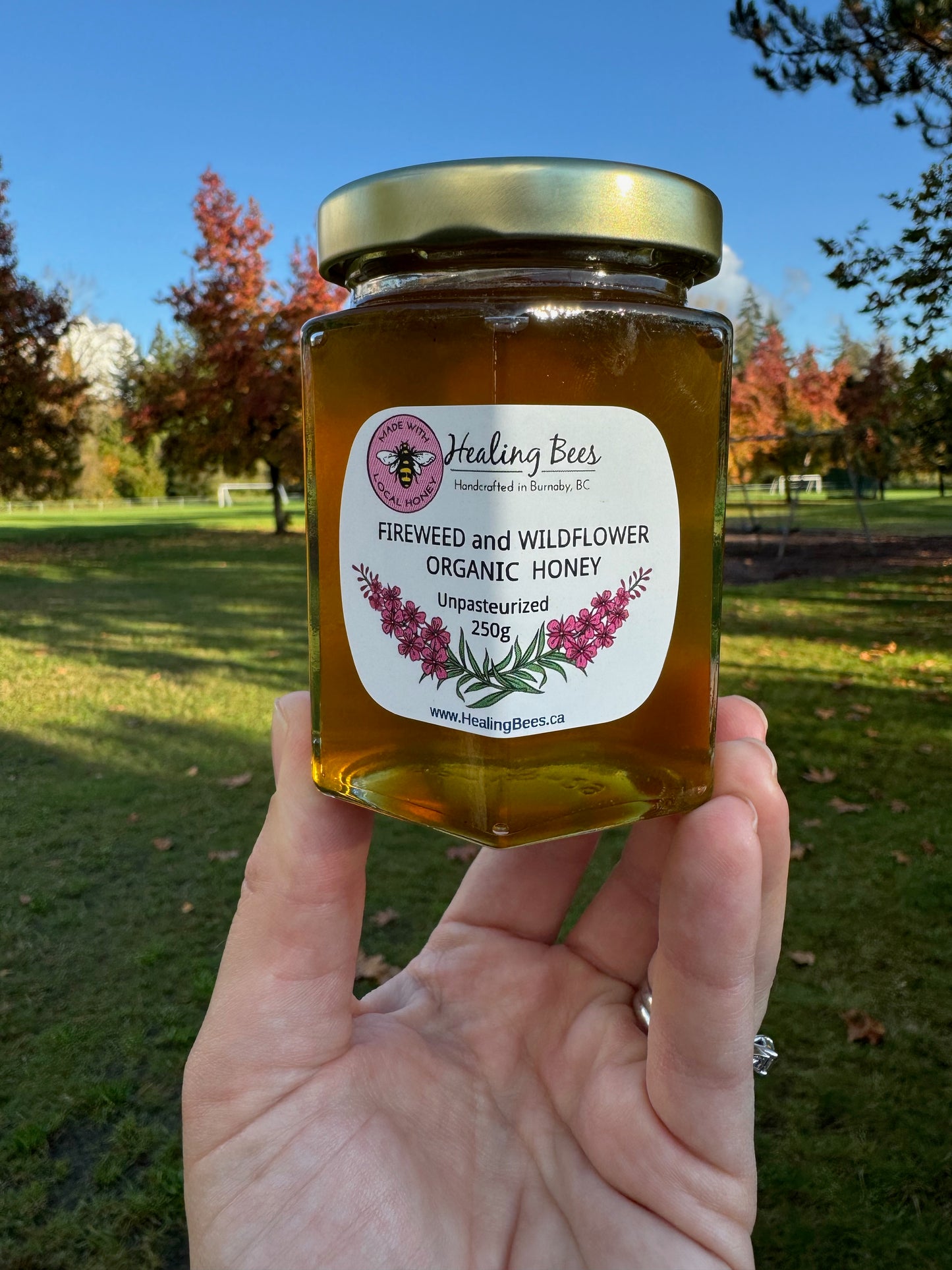 Organic Raw Unpasteurized Wildflower & Fireweed Honey 250g