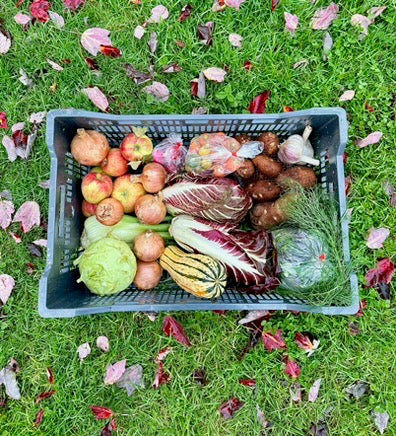 Harvest Box