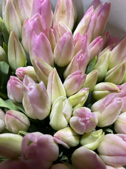 Tulip Bouquets