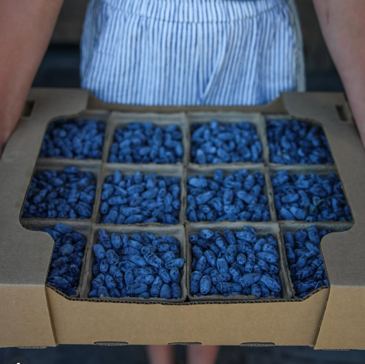 *preorder* Organic Haskap Berries (Full Flat - 12 pints)