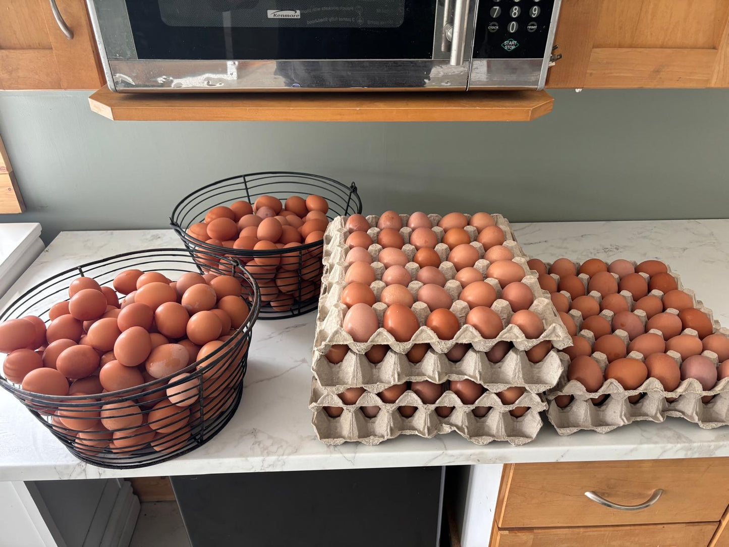 Free-Range Eggs (1 Dozen)