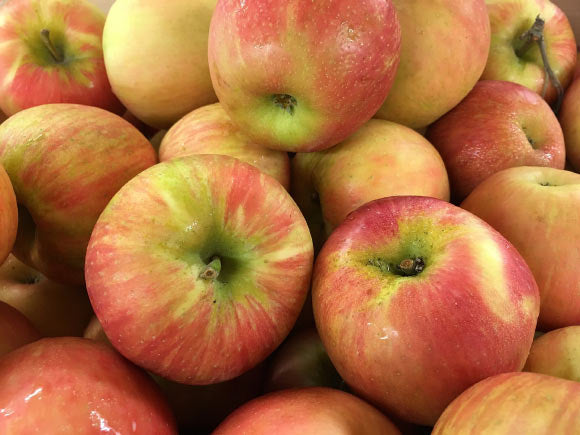 Bulk Organic BC Apples - Honey Crisp