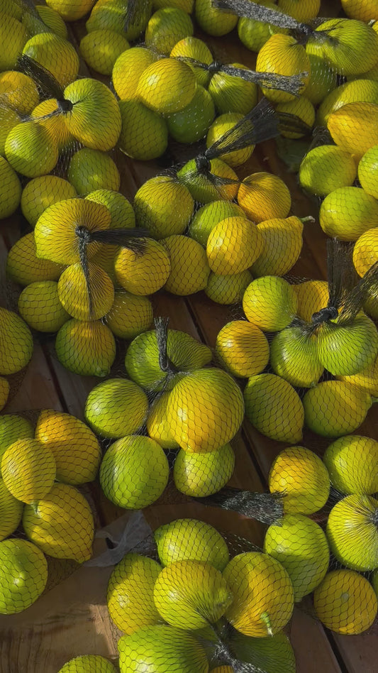 Lemons - Mesh Bag (~6 per)