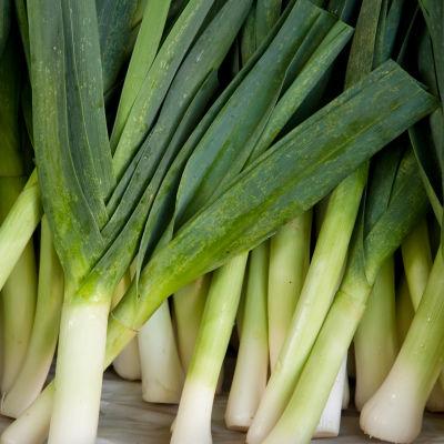 Leek - One Stalk